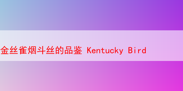 金丝雀烟斗丝的品鉴 Kentucky Bird